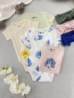 بادی آستین کوتاه برند so cute (نوزادی) - Image 5