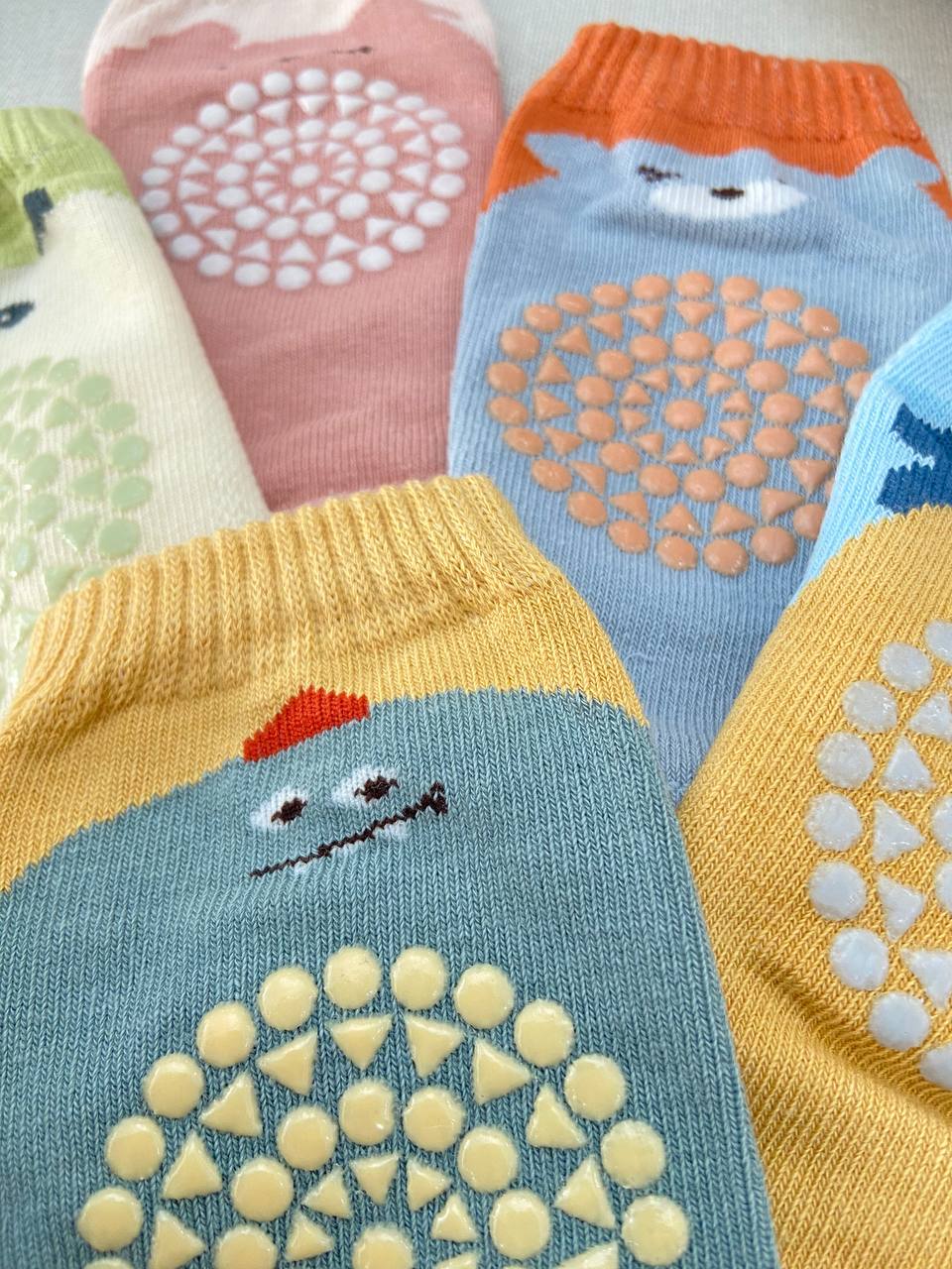 photo_2025-01-29_10-31-55