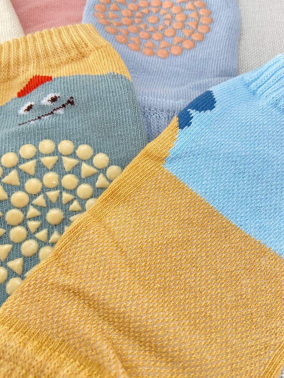 photo_2025-01-29_10-31-56