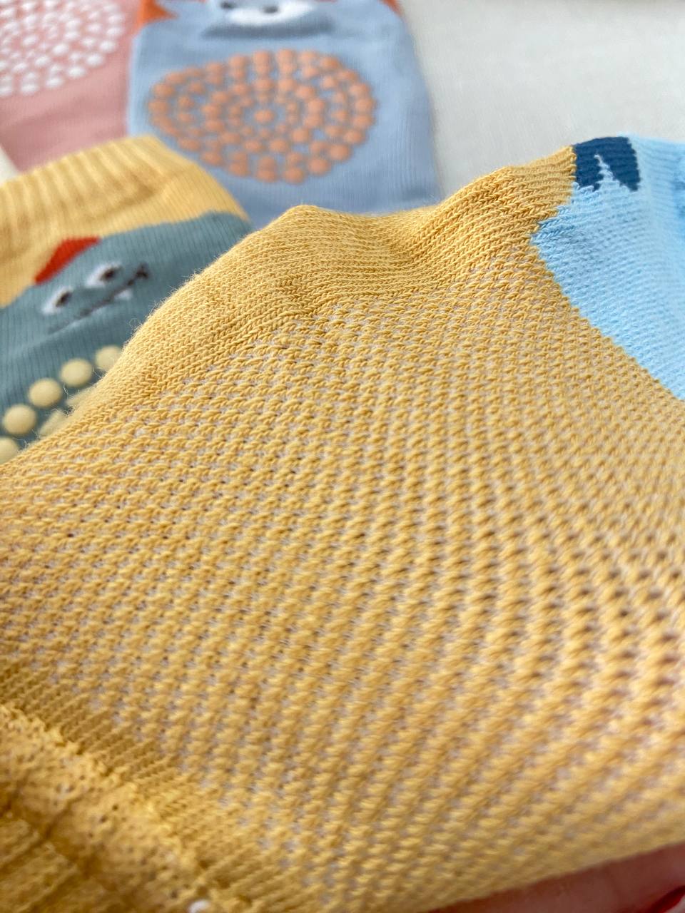 photo_2025-01-29_10-31-57