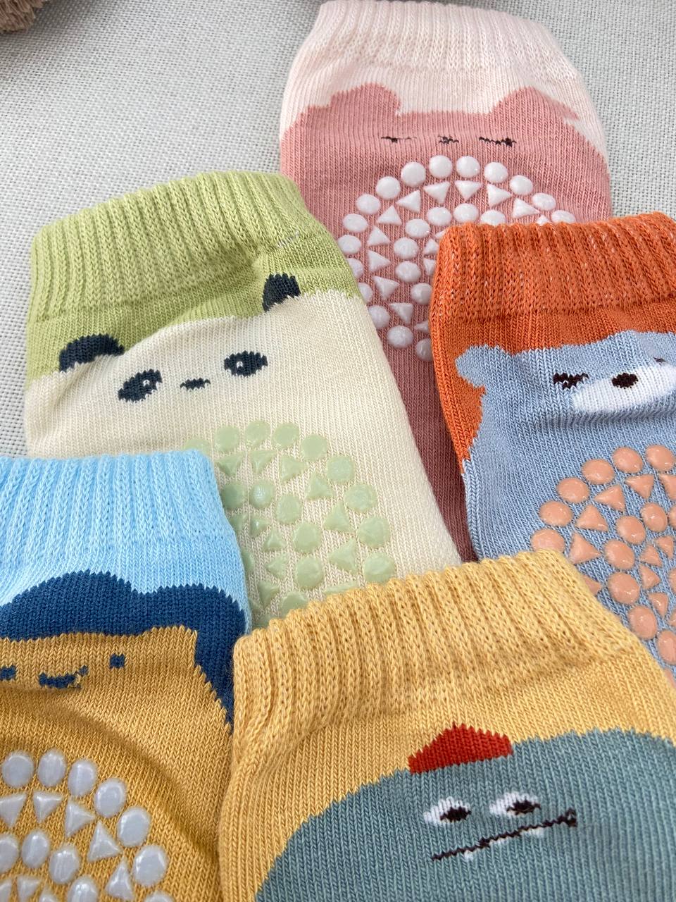 photo_2025-01-29_10-31-58