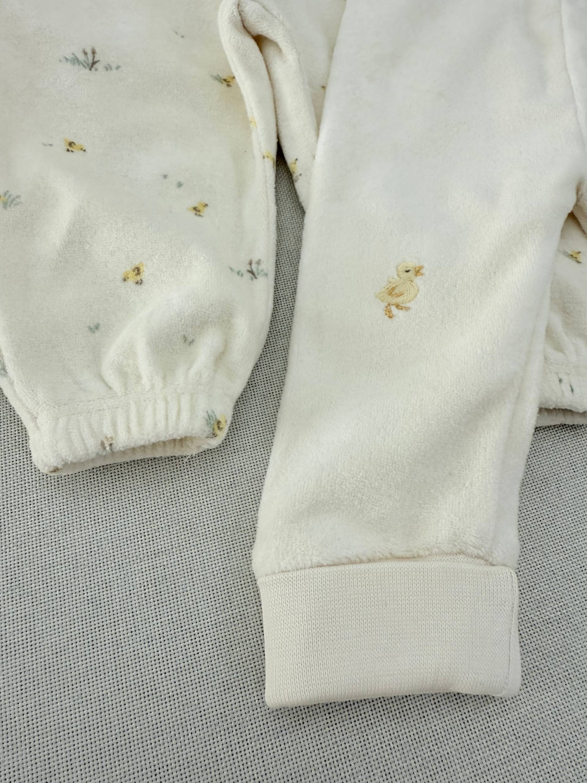 photo_22_2025-09-19_18-26-52