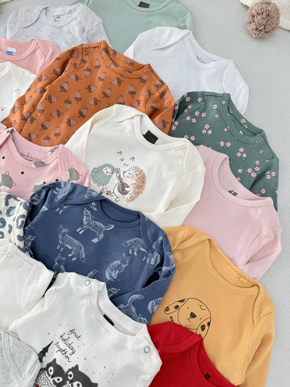 photo_10_2025-10-29_13-27-11