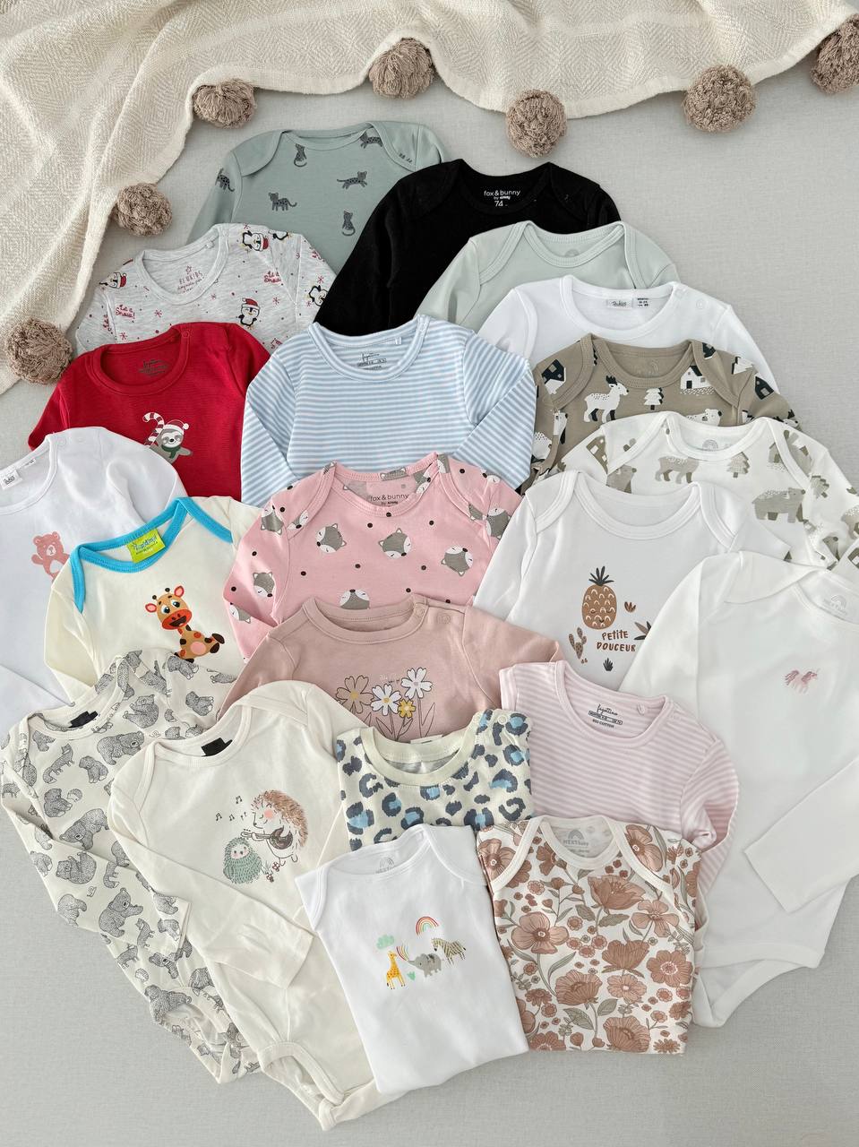 photo_1_2025-10-29_12-13-51