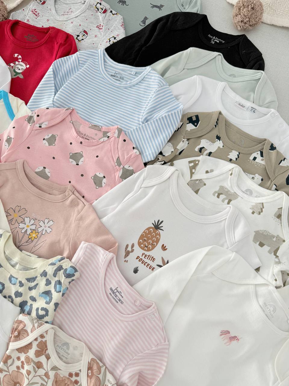 photo_2_2025-10-29_12-13-51