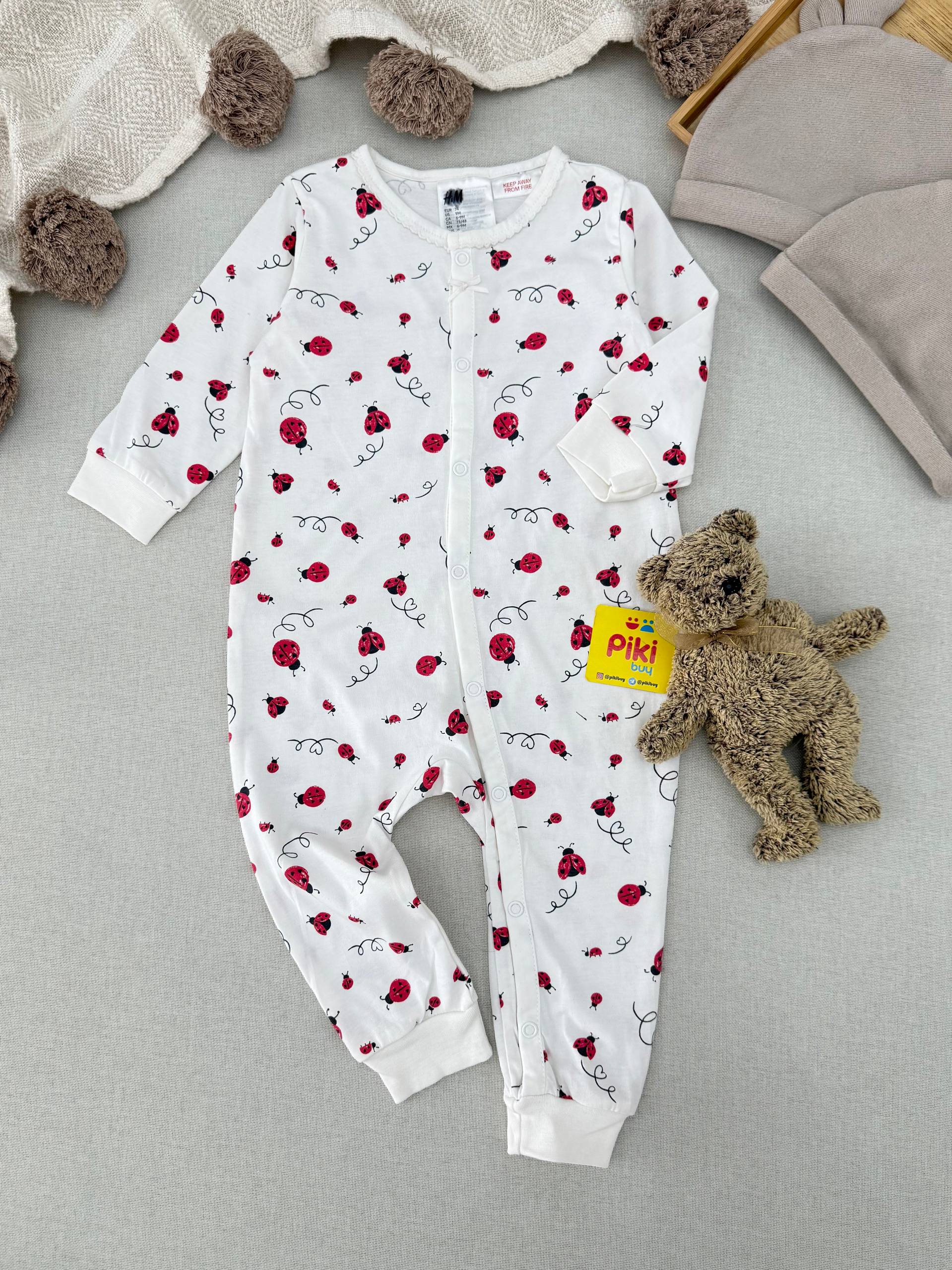 photo_39_2025-09-14_12-55-09