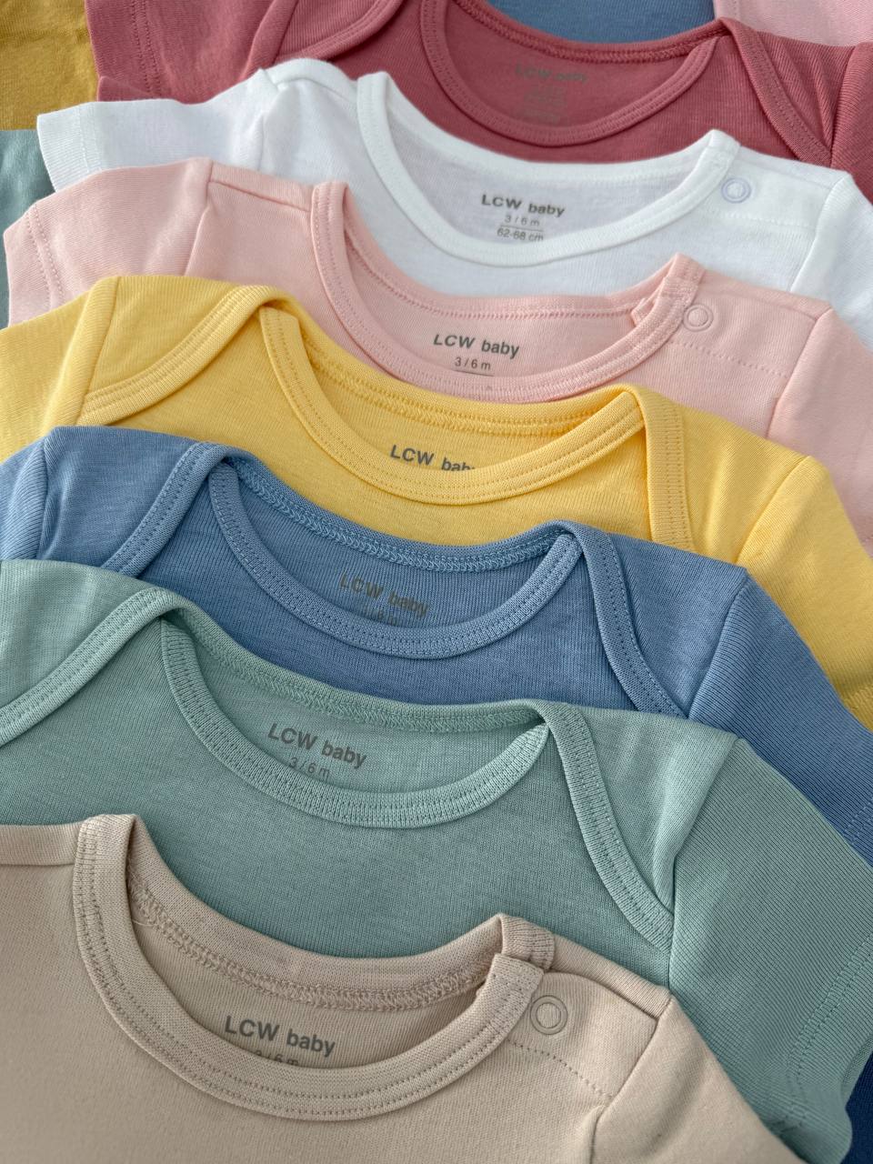 photo_3_2025-10-22_10-57-14