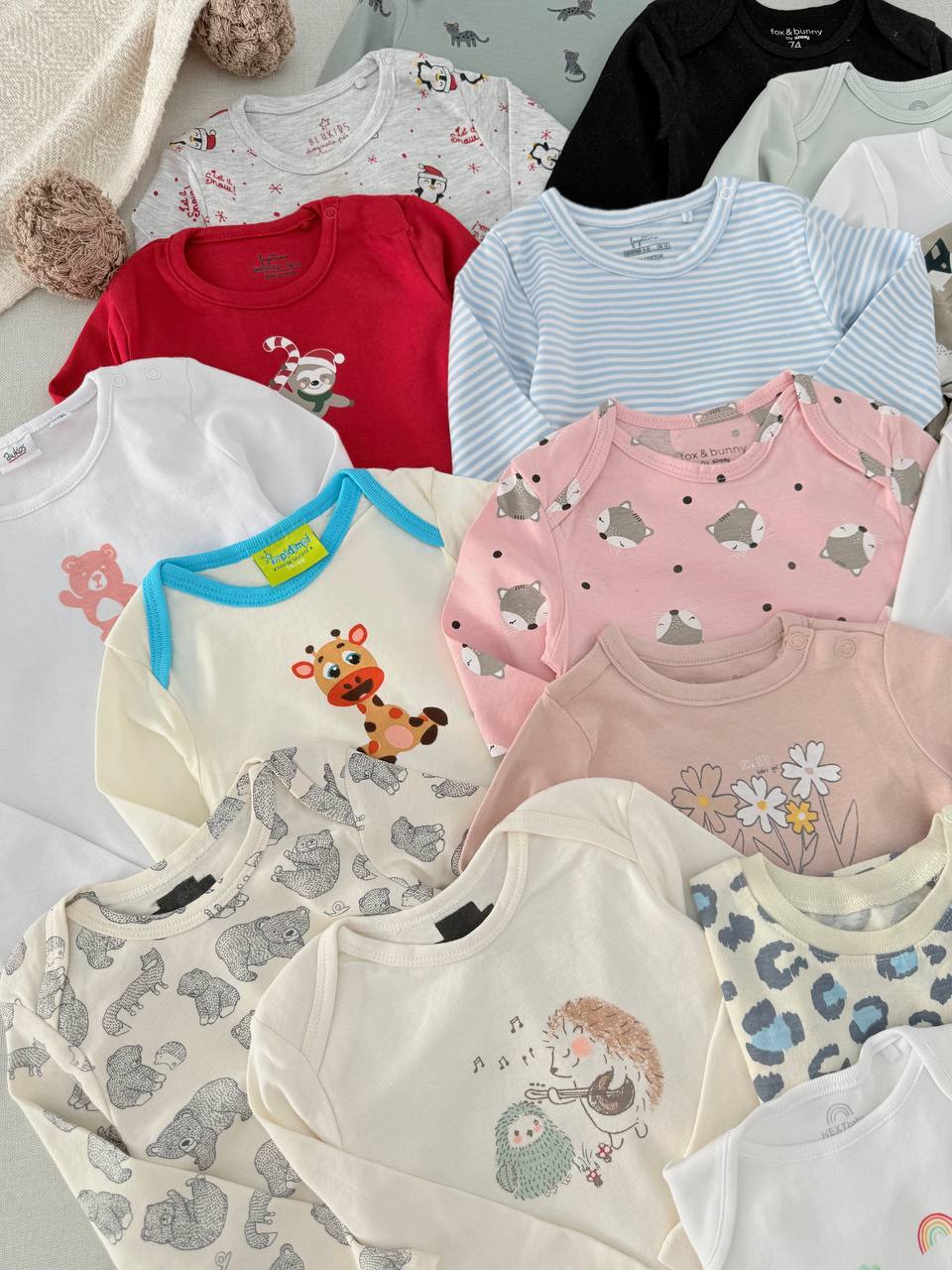 photo_3_2025-10-29_12-13-51