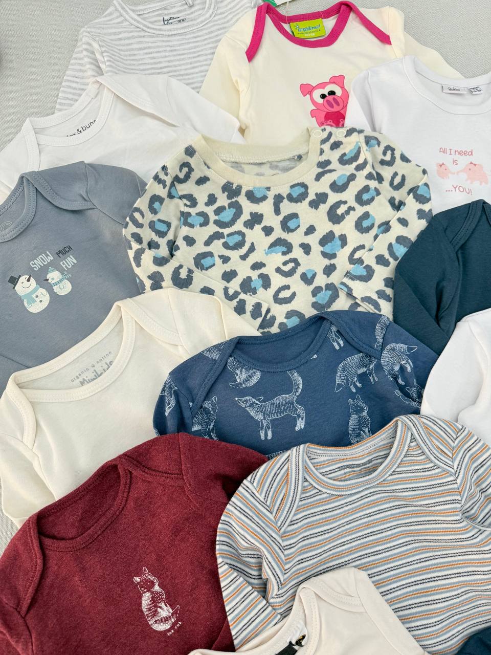 photo_4_2025-10-29_16-39-34