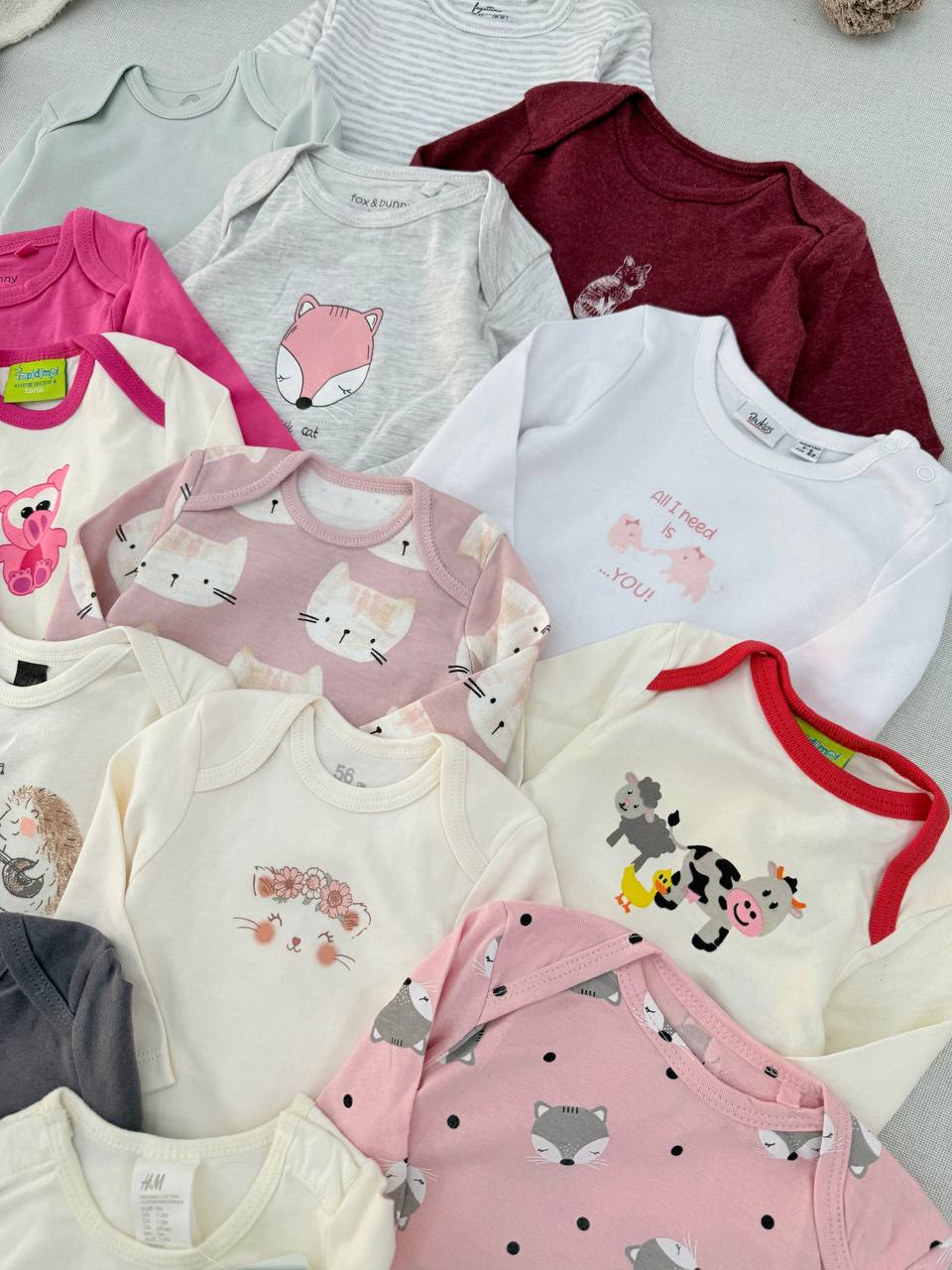 photo_6_2025-10-29_16-39-34