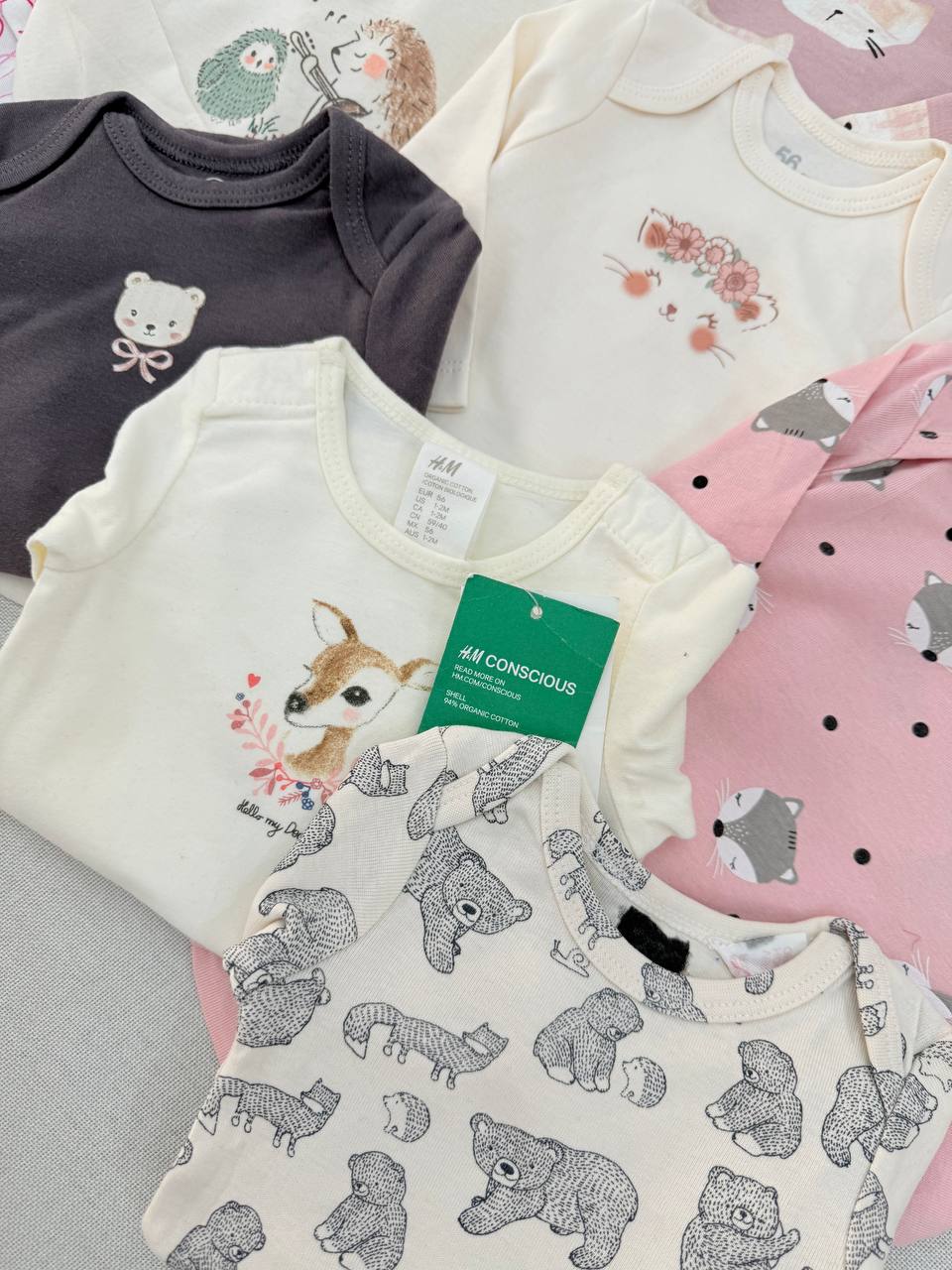 photo_8_2025-10-29_16-39-34