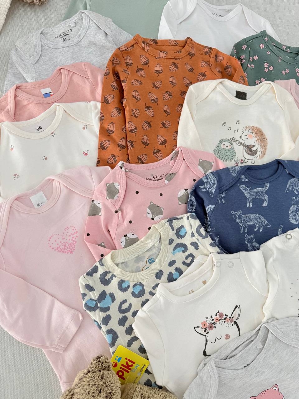 photo_9_2025-10-29_13-27-11