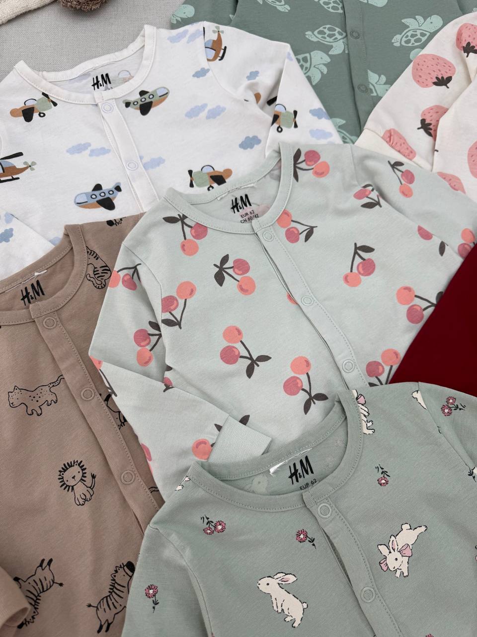 photo_15_2025-11-16_11-07-40