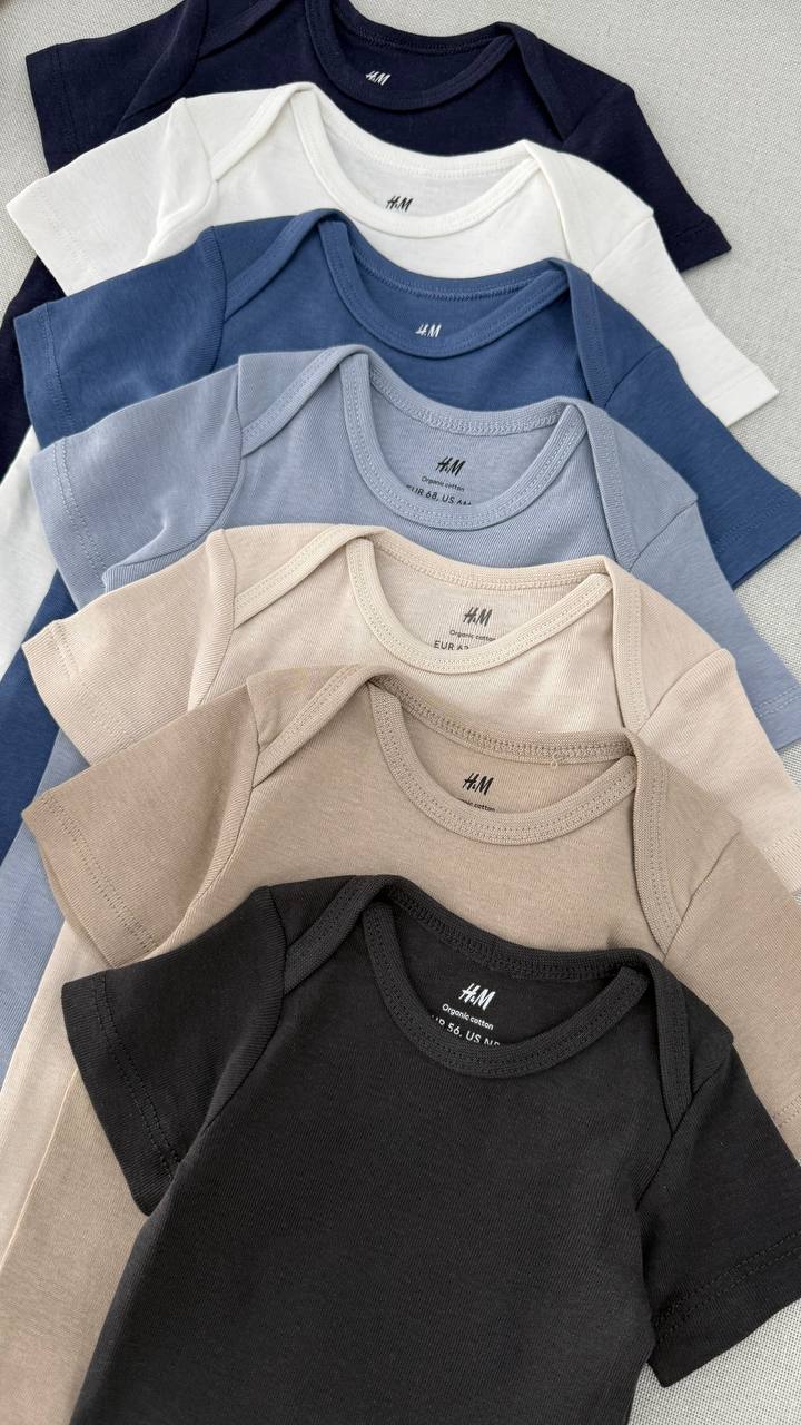 photo_2025-11-05_11-22-58