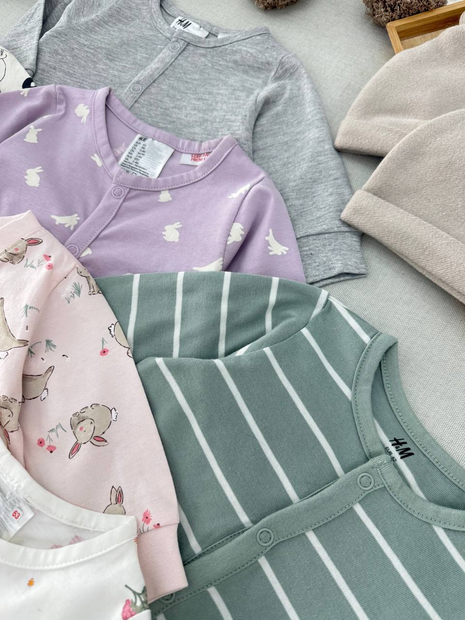 photo_22_2025-09-22_13-11-41