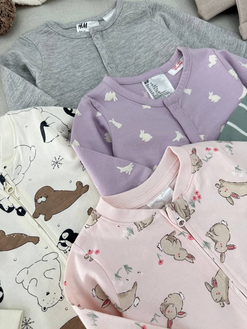 photo_23_2025-09-22_13-11-41