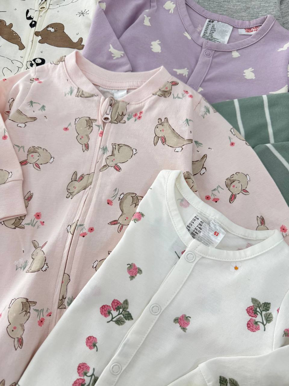 photo_24_2025-09-22_13-11-41