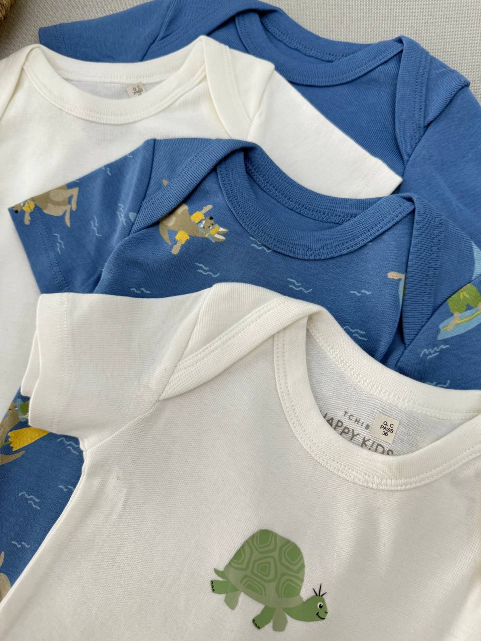 photo_7_2025-11-16_19-18-21