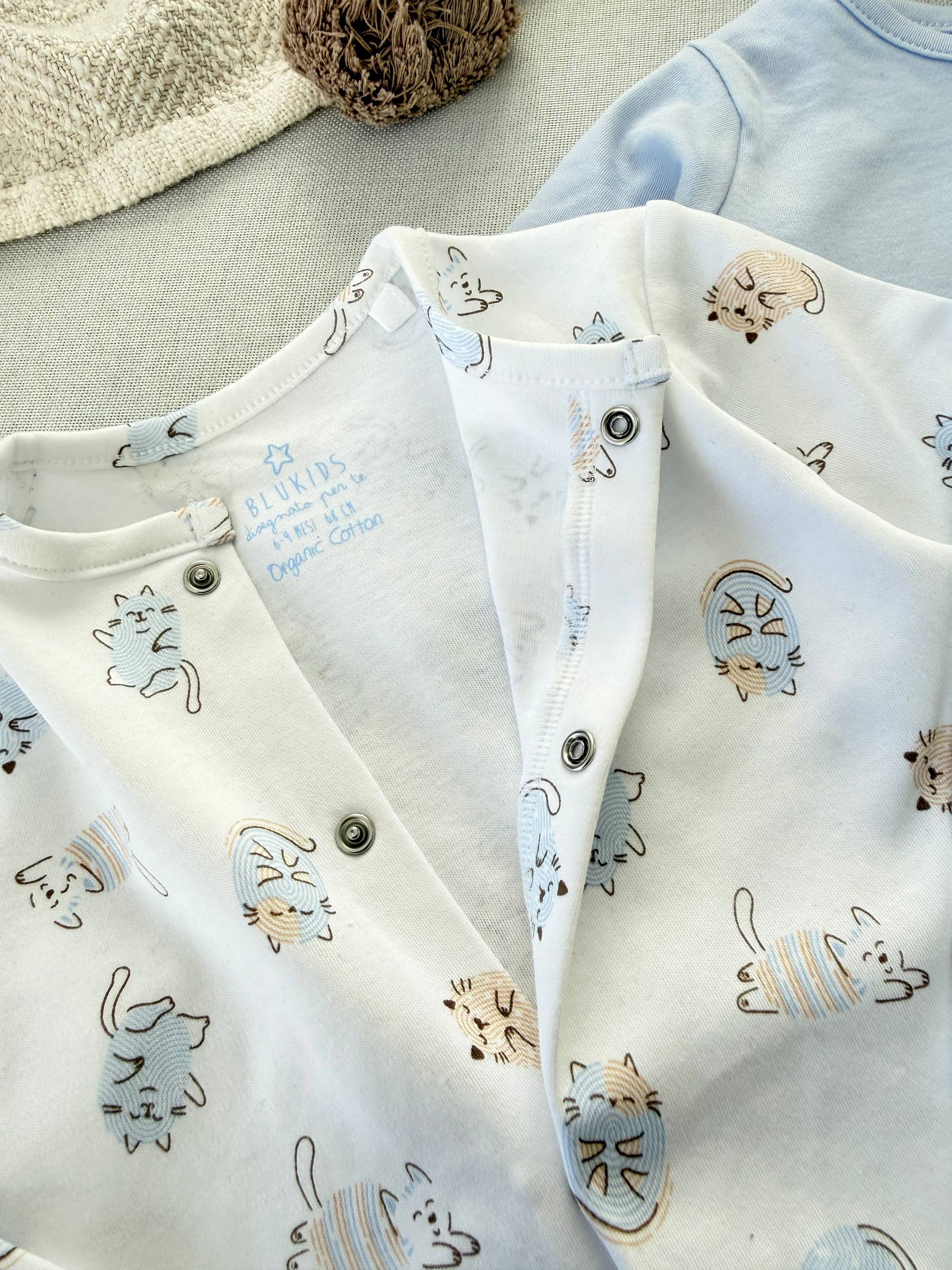 photo_10_2025-12-29_11-52-52