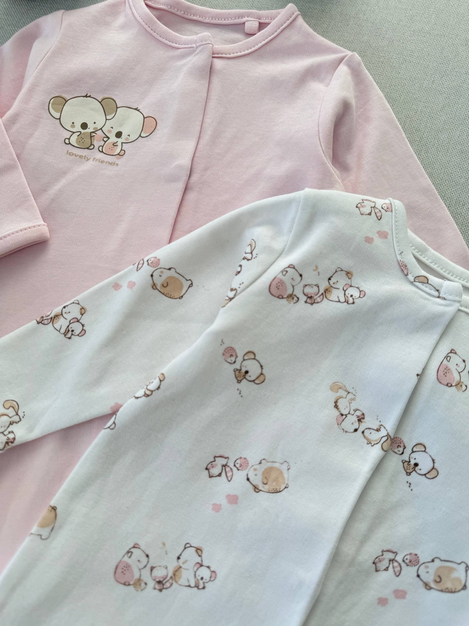 photo_12_2025-12-29_11-52-52