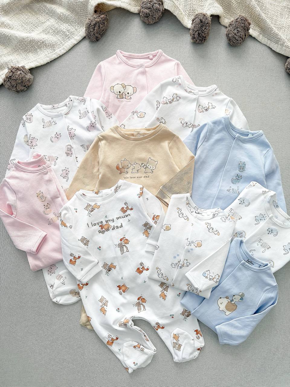 photo_2025-12-29_12-17-07