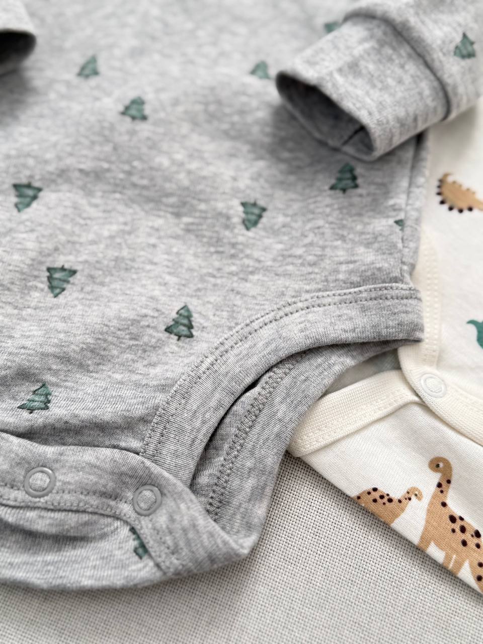 photo_5_2025-12-21_11-27-32