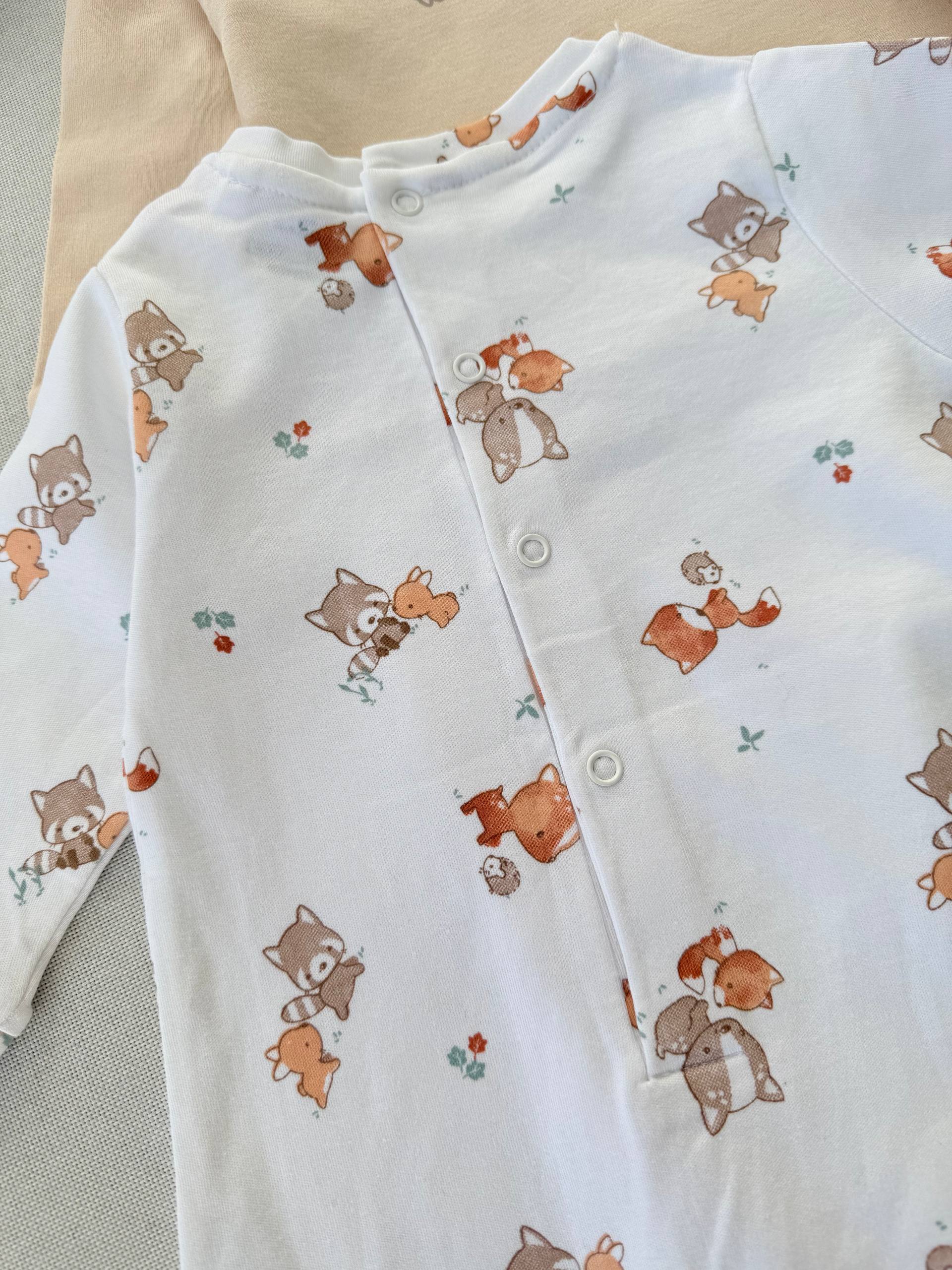 photo_6_2025-12-29_11-52-52