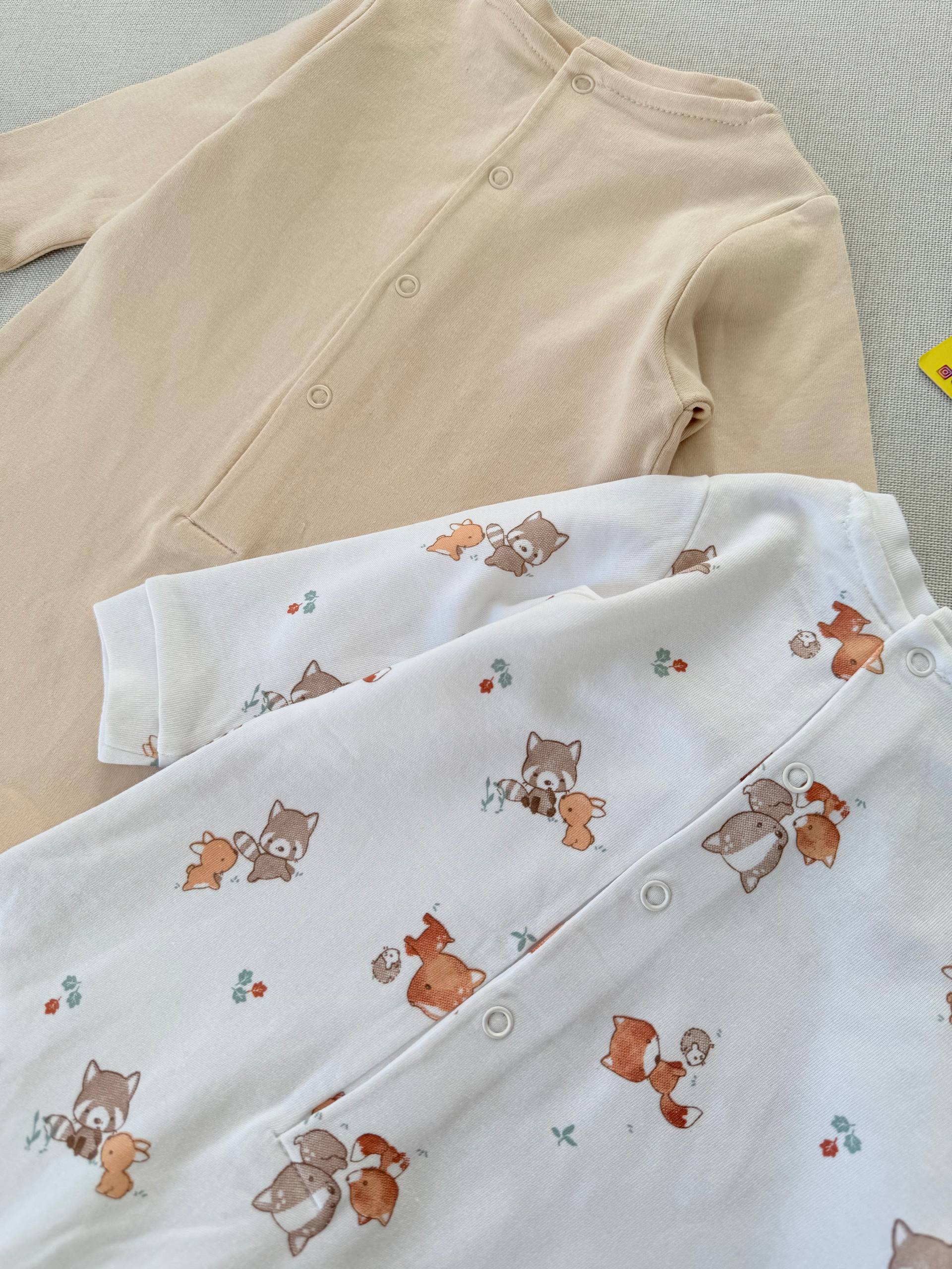 photo_7_2025-12-29_11-52-52